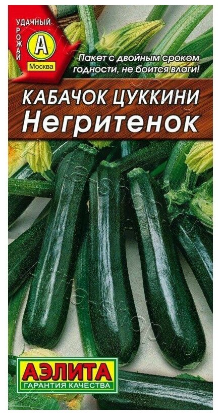 Семена. Кабачок цуккини