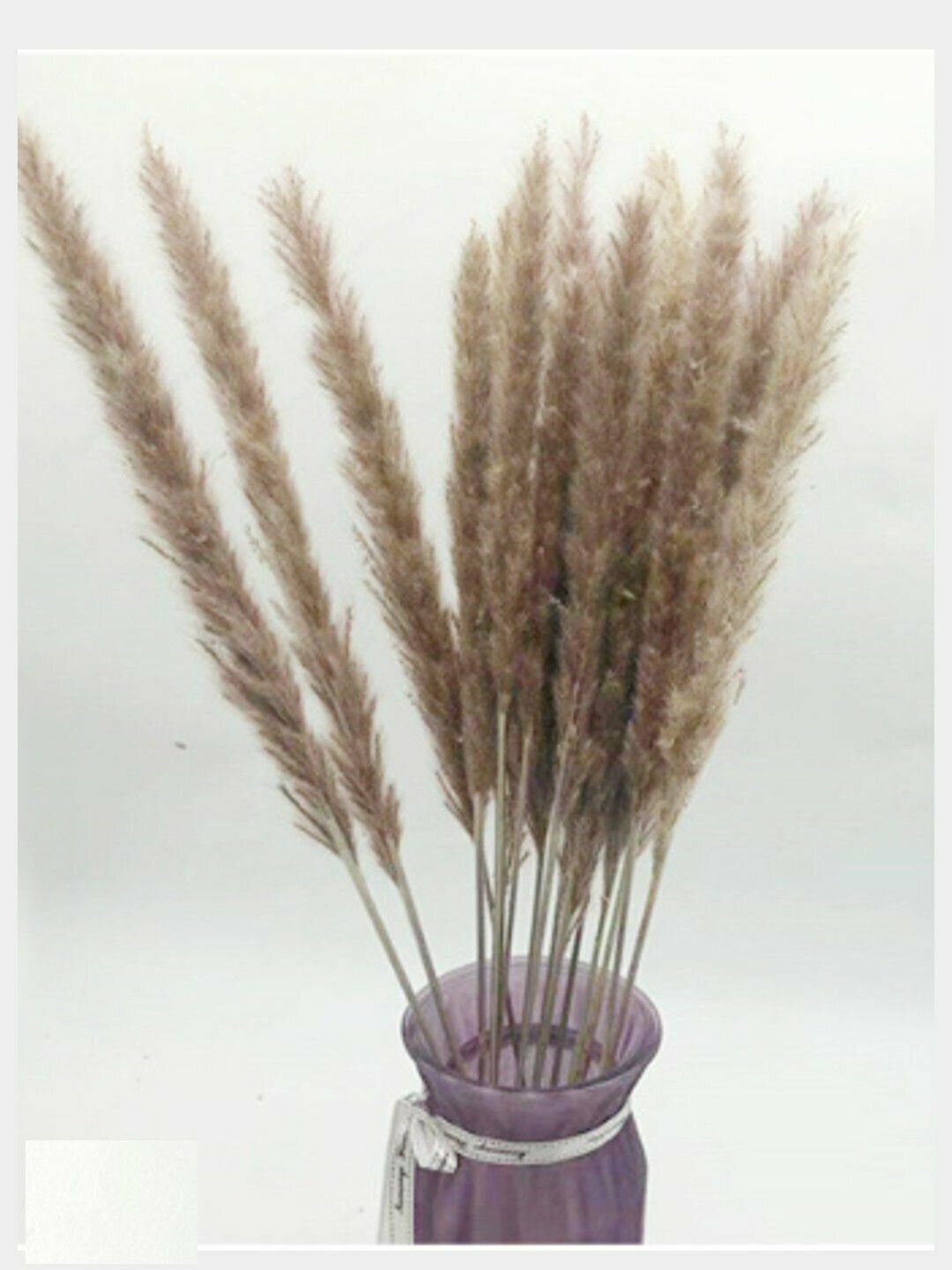 Букет из сухоцветов пампасная трава мини, цвет коричневый