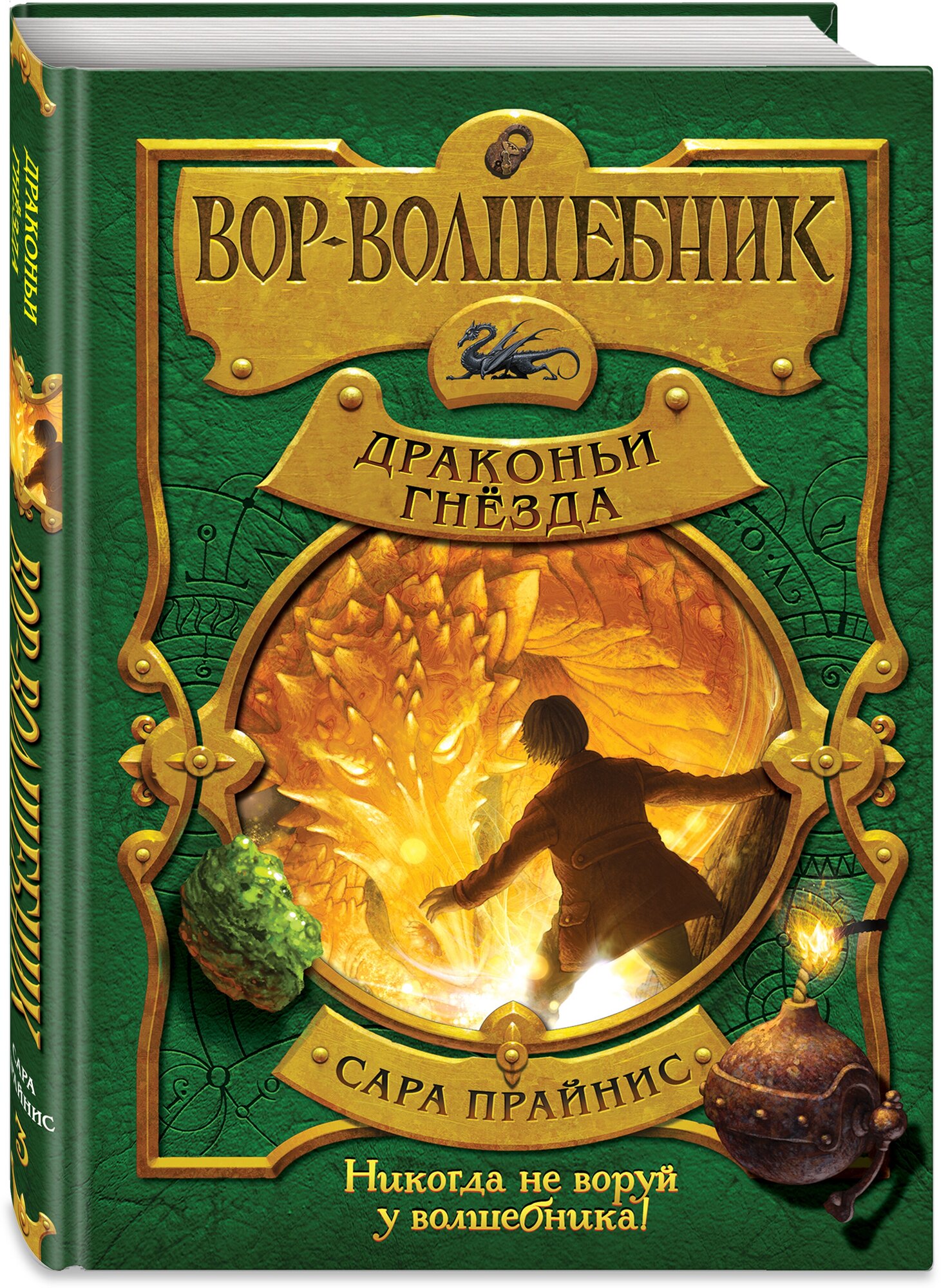 Прайнис С. Вор-волшебник. Драконьи гнёзда (#3)