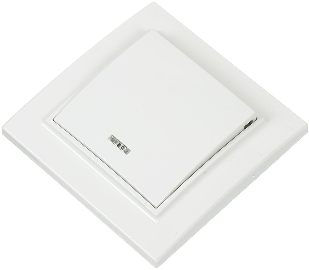 ERV10-121-10 Выключатель 1-кл. СП Минск 10А с индикатором бел. Basic EKF - фото №15