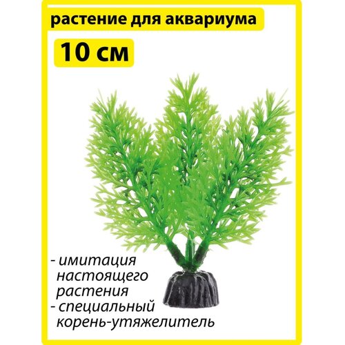 Искусственное растение BARBUS 10 см