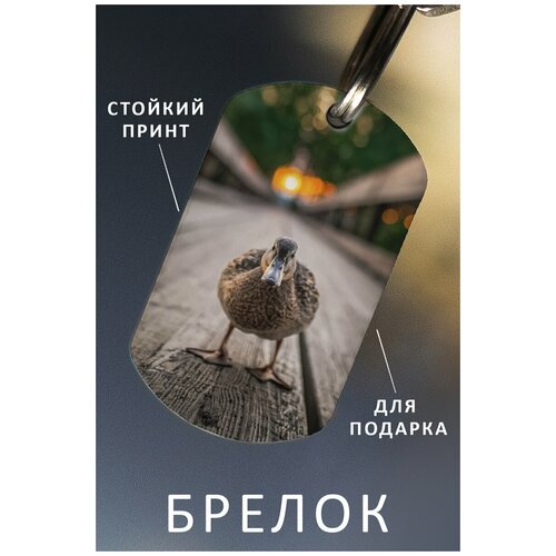 фото Брелок для ключей утка подарок мужчине ребенку женщине, брелок детский женский мужской, подвеска на рюкзак, брелок на сумку птица zhenya cloud