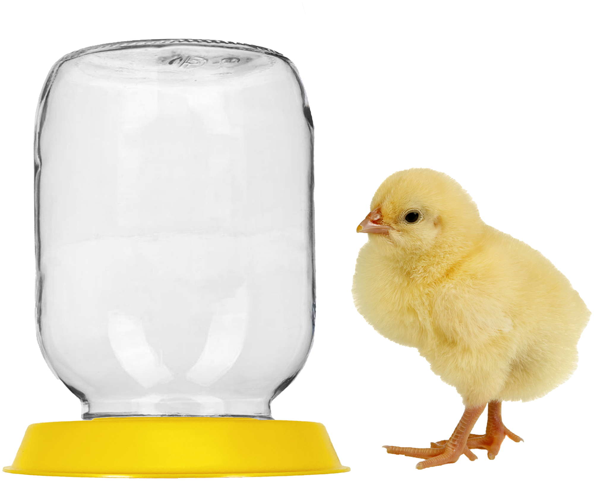 Комплект 3 шт поилки для птиц Yoma Home, вакуумный, под стеклянную банку, для животных, для цыплят, пластиковые, желтые - фотография № 4