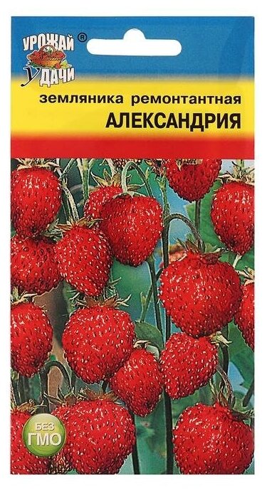 Семена Земляника "Александрия" рем,0,04 гр