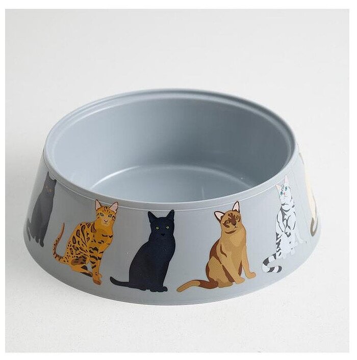фото Миска Cats 0,3л серая