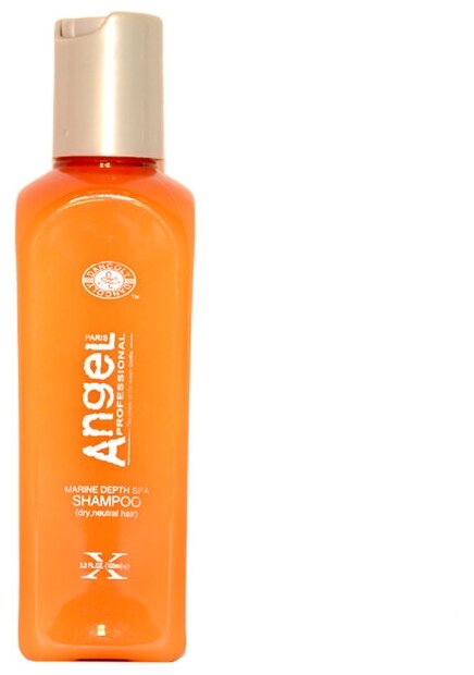 Angel Professional шампунь Marine Depth Spa для жирных волос, 100 мл