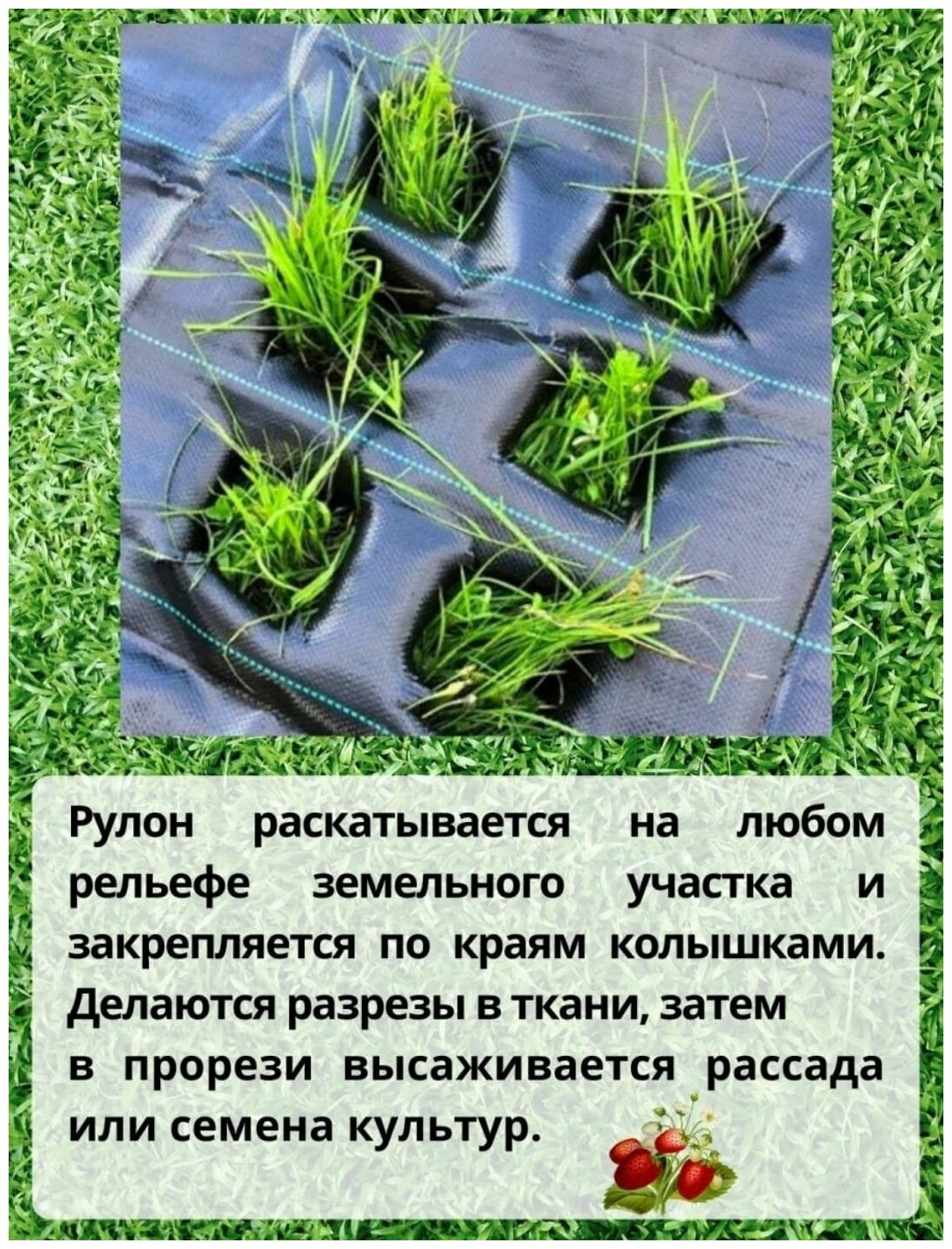 Агроткань от сорняков с разметкой в рулоне, плотность 100гр/м2, размер 1,1х100 м, укрывной материал - фотография № 5