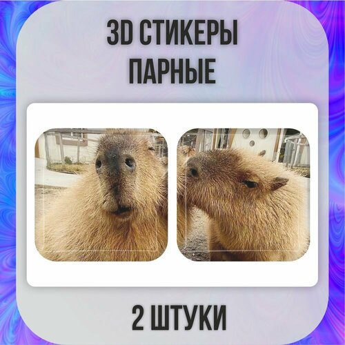 3D стикеры парные 3д наклейки на телефон Капибары