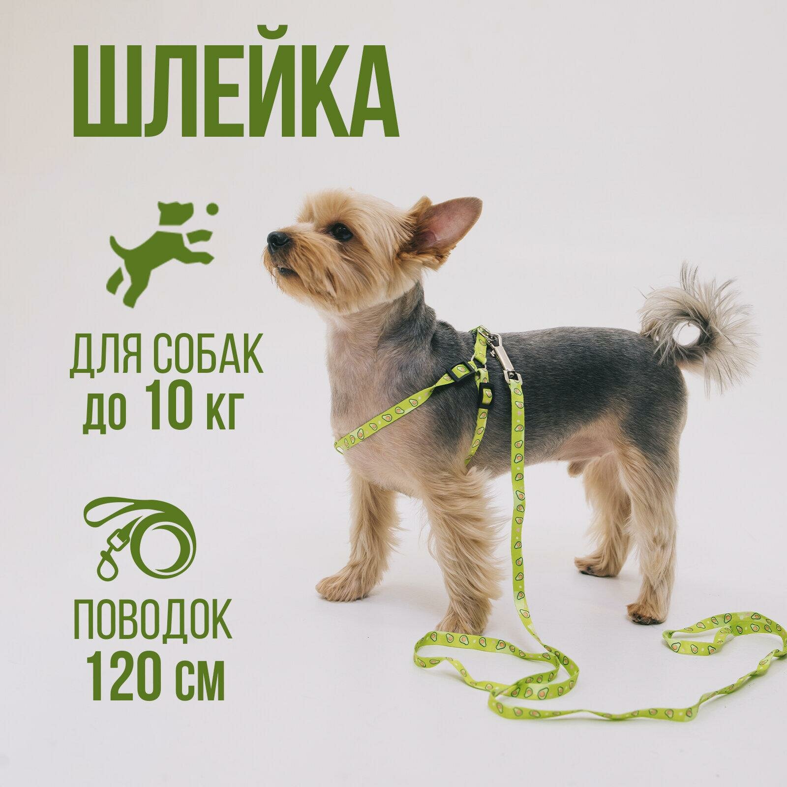 Комплект "Авокадо" капрон 1 см 1-слойный, шлейка 24-36 см, поводок 120 см