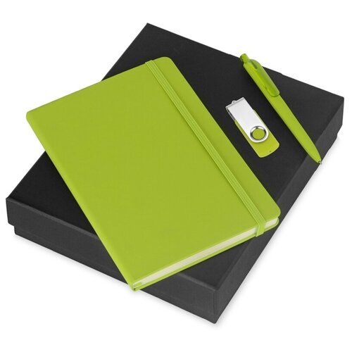 фото Подарочный набор vision pro plus soft-touch с флешкой, ручкой и блокнотом а5, зеленый yoogift