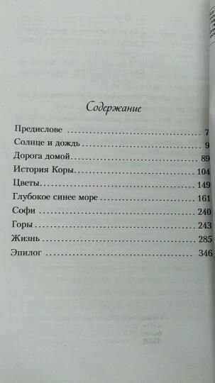 Цвет неба (Маклин Джулианна , Рапопорт Илья Владимирович (переводчик)) - фото №3