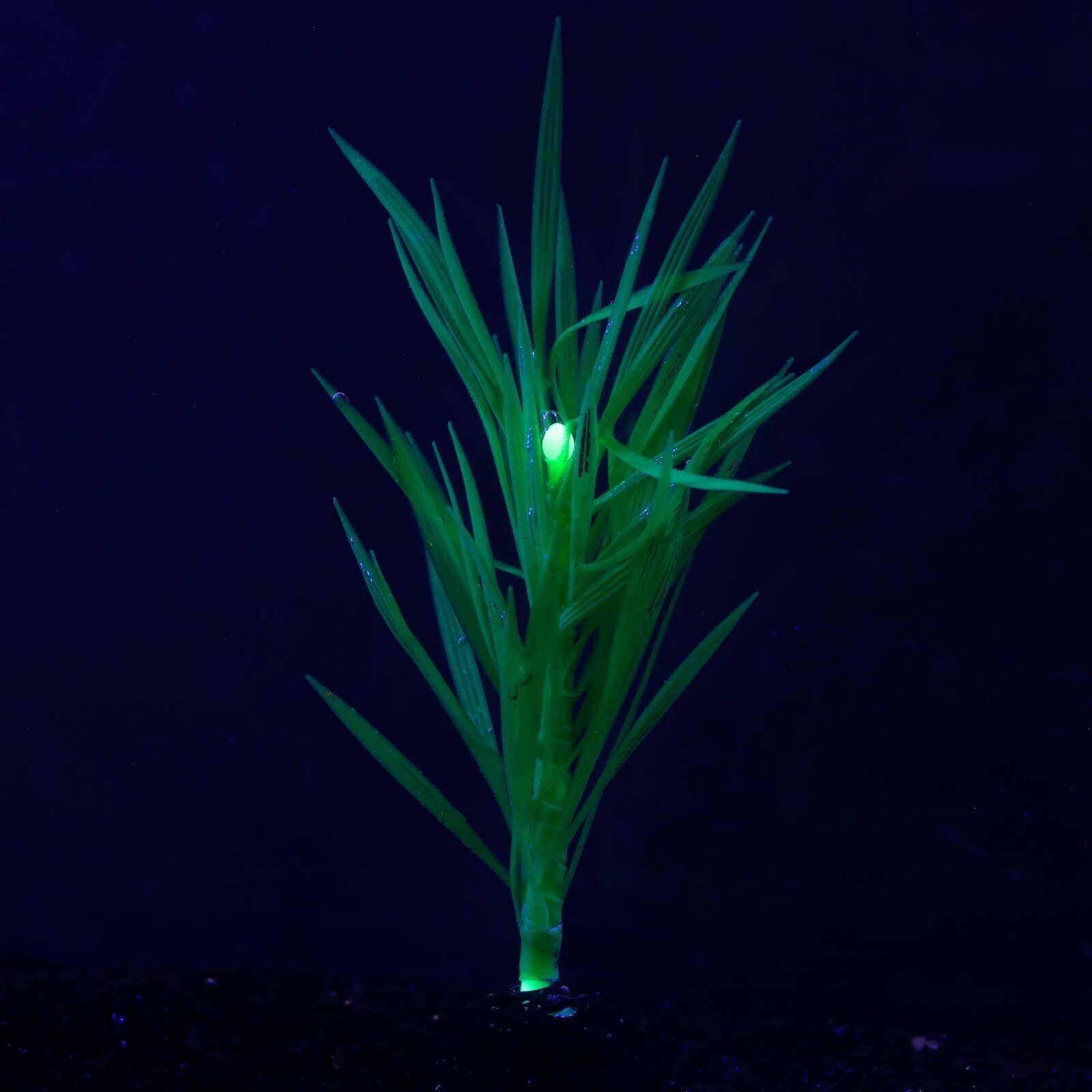 Растение аквариумное КНР силиконовое, светится в темноте, 7х12,5 см, зеленое - фотография № 5