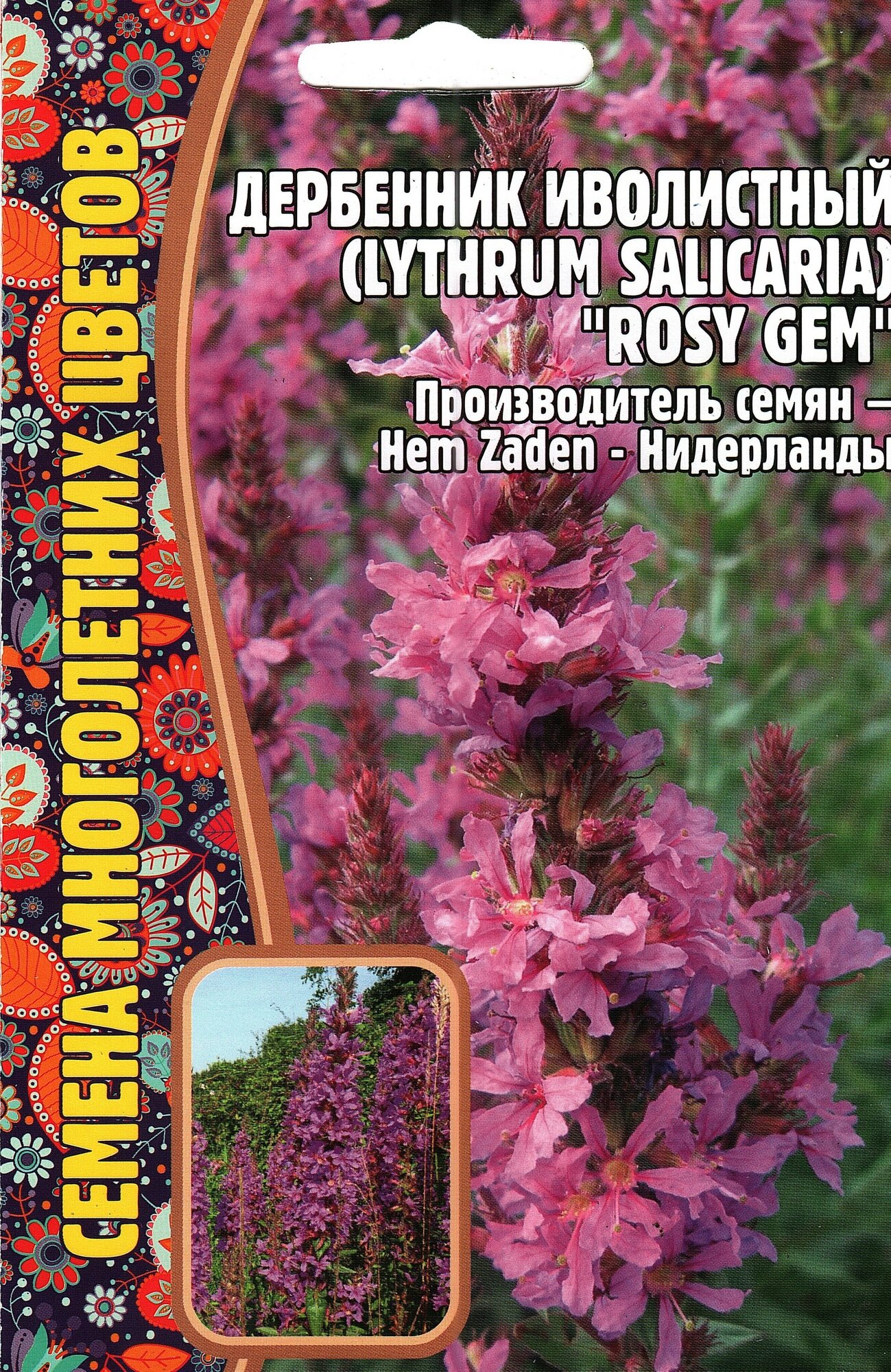 Дербенник Иволистный / Lythrum salicaria ROSY GEM многолетник ( 1 уп: 005 г )