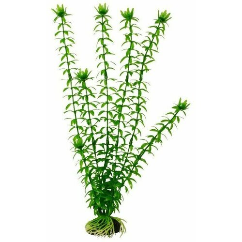 Пластиковое растение Barbus Элодея 30 см. пластиковое растение barbus горгонария сиреневая 30 см