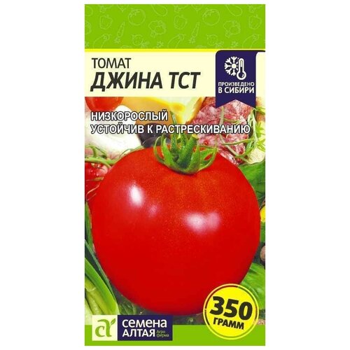 Семена Семена Алтая Томат Джина ТСТ, 0,1 г