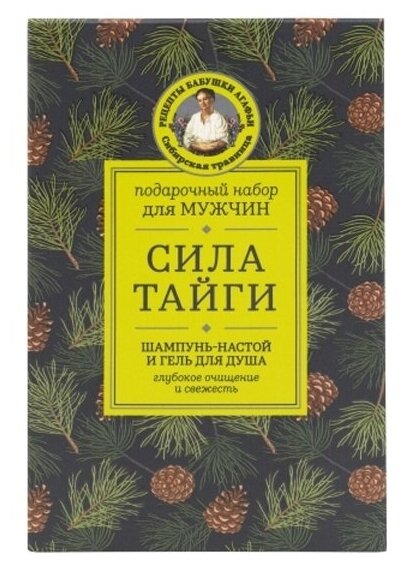 Подарочный набор Рецепты Бабушки Агафьи Сила Тайги (шампунь для волос, гель для душа)