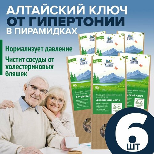 Алтайский ключ для очищения сосудов в пирамидках 6 упаковок Алтайвита