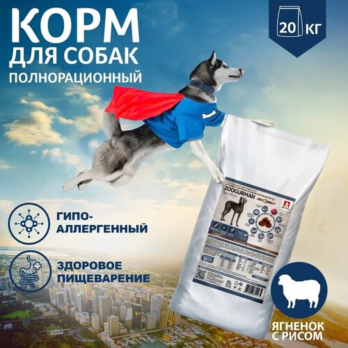 Сухой корм для собак Зоогурман ягненок, с рисом 1 уп. х 1 шт. х 12 кг (для средних и крупных пород)