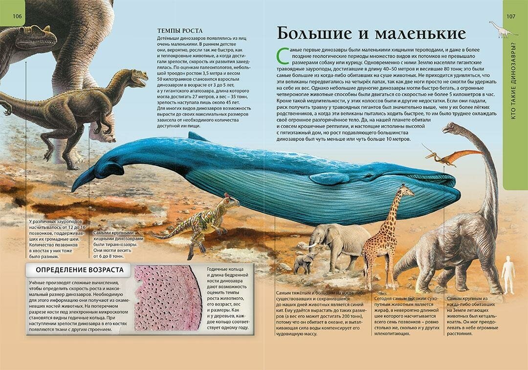 Большая детская энциклопедия динозавров - фото №6