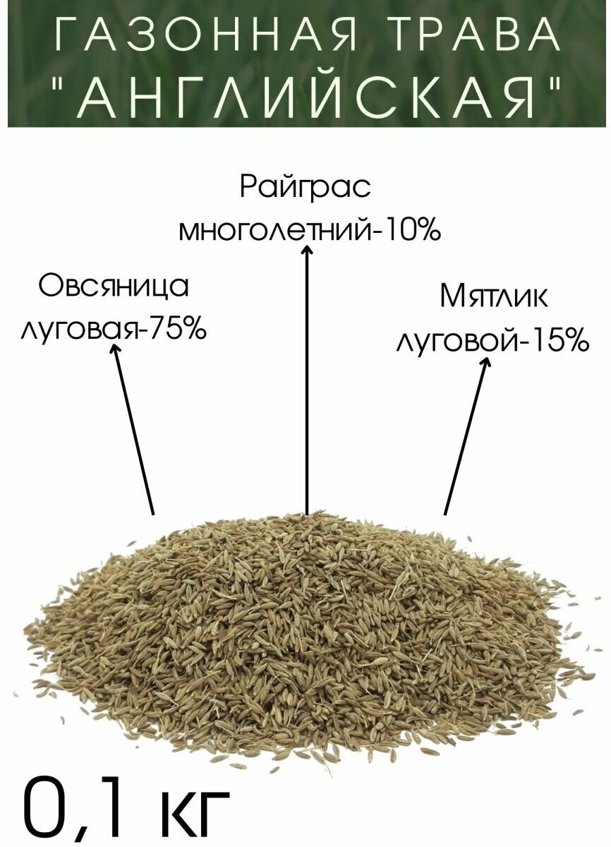 Газонная Трава 