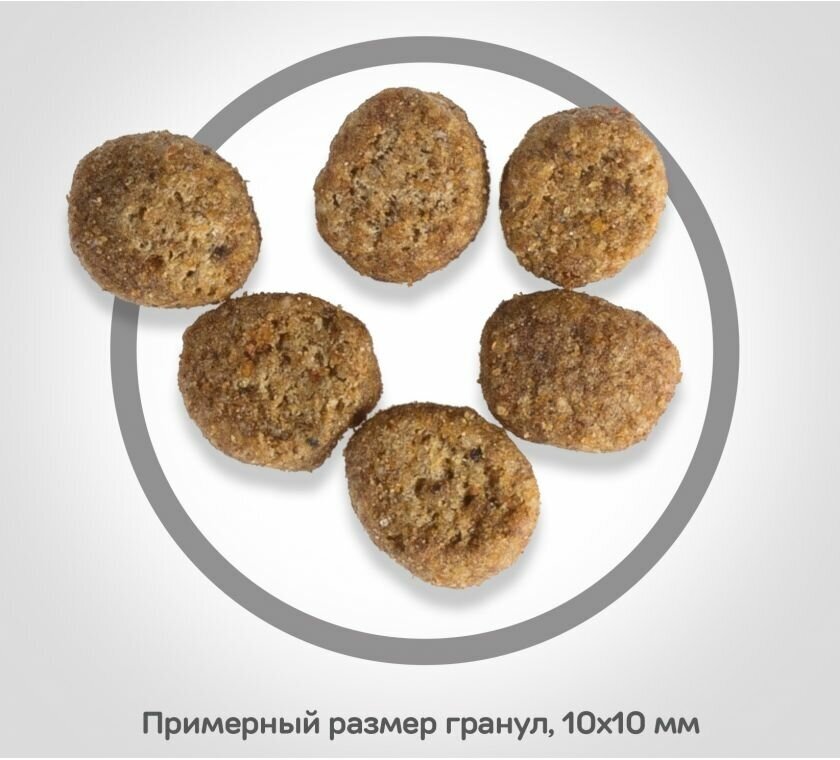 Hill's Сухой корм Hills Science Plan для котят для здорового роста и развития, с курицей, 3 кг - фото №20