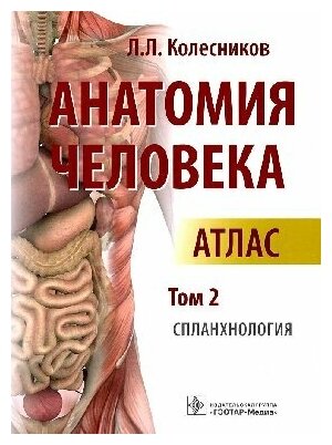 Колесников Л. Л. "Анатомия человека : атлас : в 3 т. Т. 2. Спланхнология"