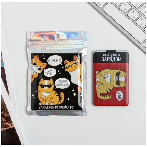 Зарядное устройство Переполнен зарядом 2500 mAh 6 х 95 см 112500₽