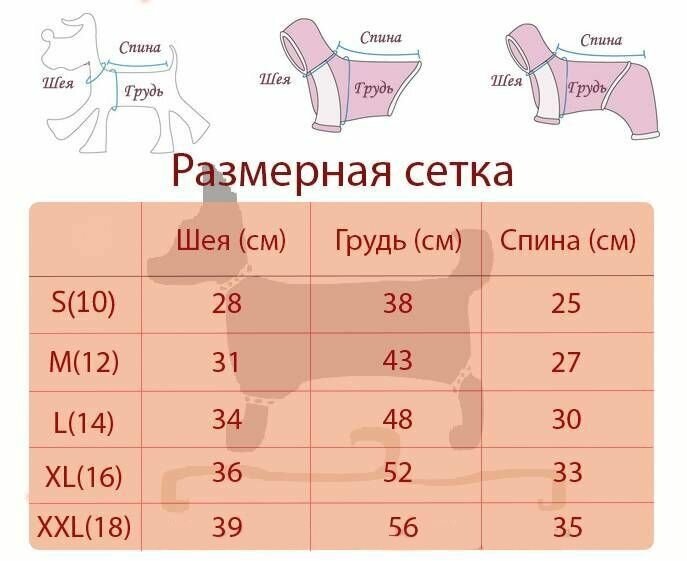 Комбинезон для собак мелких пород "Босфор" цвет синий, 10# (S 25 см) - фотография № 3