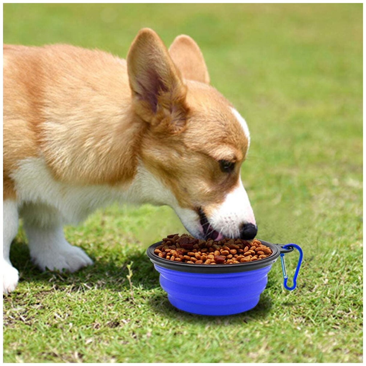 Миска для животных складная силиконовая, цвет синий, 13х9 см, Pets & Friends PF-BOWL10-02 - фотография № 3