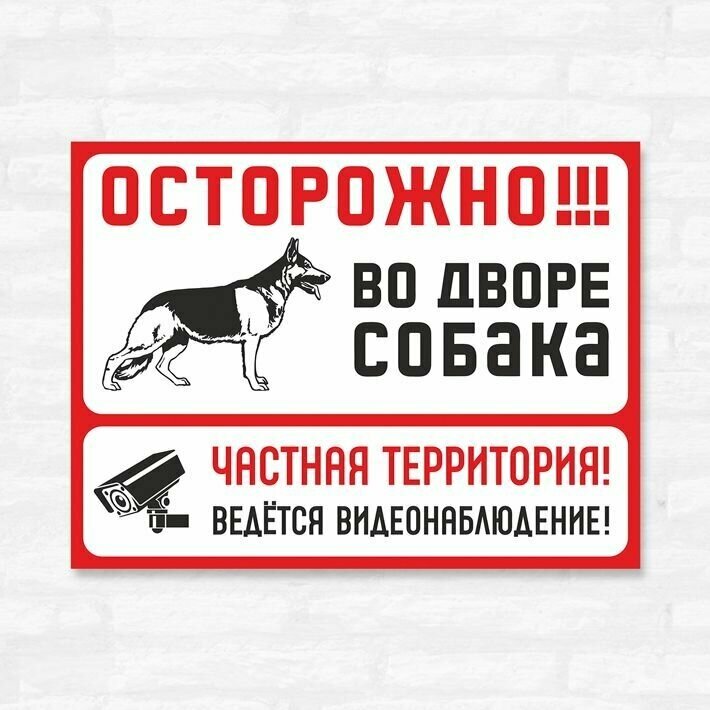 Табличка "Осторожно Во дворе собака. Частная территория", 33х25 см, ПВХ