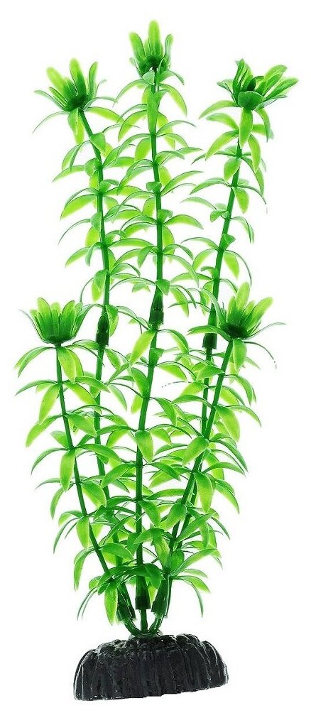 Искусственное растение BARBUS Элодея 10 см зеленый - фотография № 3