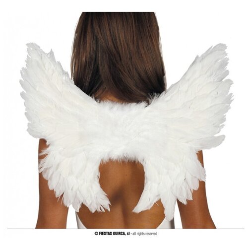 Белые крылья ангела (13320)