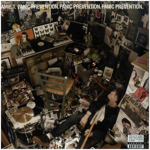 Виниловая пластинка Jamie T - PANIC PREVENTION [LP]