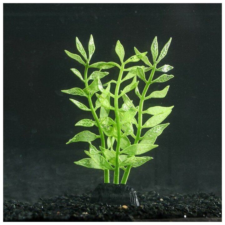 Растение аквариумное КНР силиконовое, светится в темноте, 8х15 см, зеленое