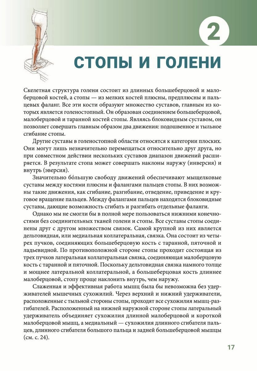 Анатомия упражнений на растяжку. Новейшая редакция - фото №8