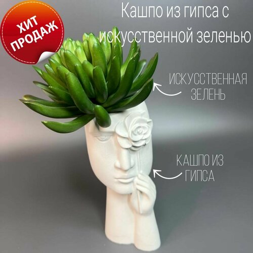 Декор для интерьера/A-lux/Декоративный набор из гипса с искусственной зеленью/Ручная работа