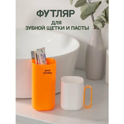 футляр для зубной щетки braun triumph арт 7040154 Футляр для зубной щетки