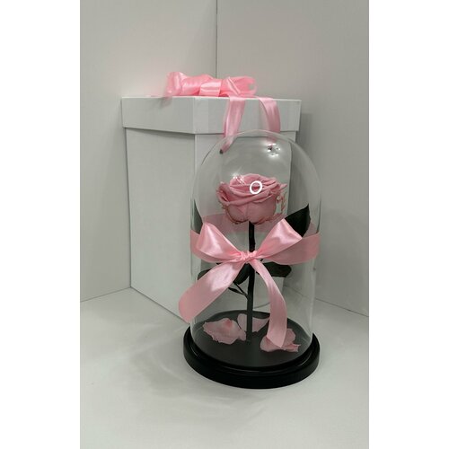 Роза в колбе 