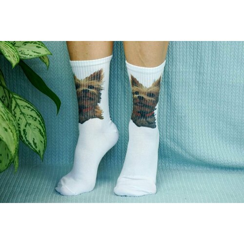 фото Носки cotton print, размер 41/45, белый, коричневый хлопковые cotton print