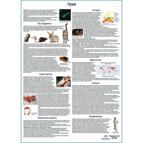 Чума, медицинский плакат А1+ глянцевый холст