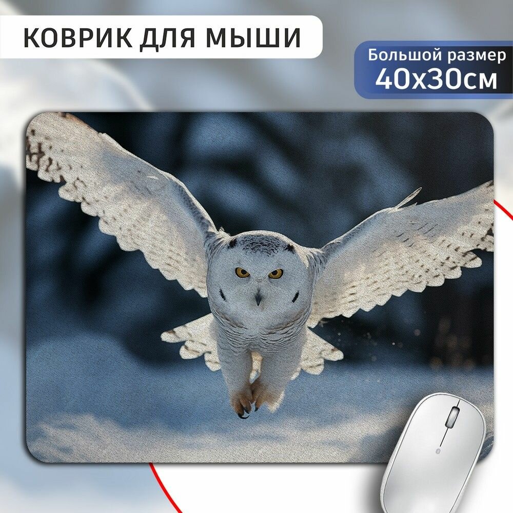 Коврик для мыши 30х40 с принтом животные Полярная сова (птицы, дикая природа) - 125
