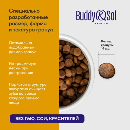 Корм для собак средних и крупных пород сухой Buddy&Sol 1,8 кг премиум-класса с курицей