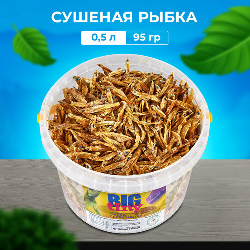 Лакомство Big Tiny, для рептилий, для водных и сухопутных черепах, рыбка сушеная, 1-3см, 95 гр.