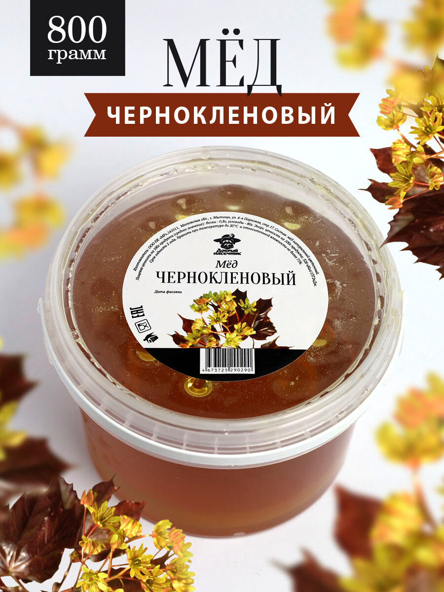 Чернокленовый мед 800 г, натуральный мед, полезный подарок