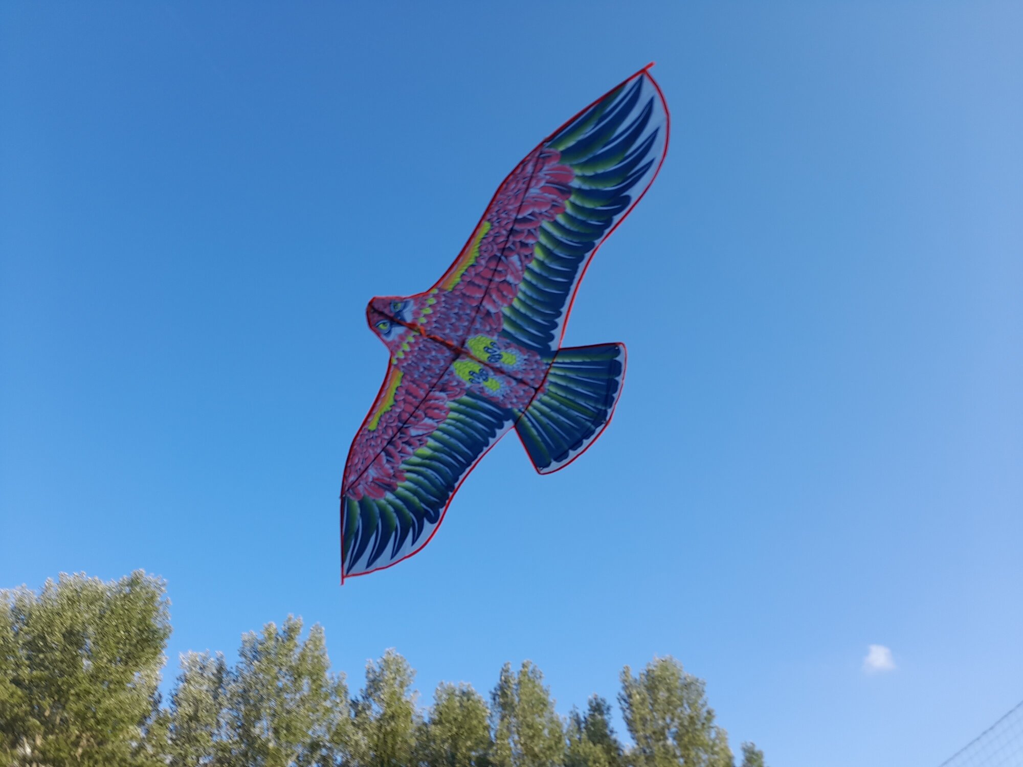 Красочный воздушный змей в форме Орла, размах 1,5 м, отлично взлетает и держится в воздухе, оранжевый — фото 1