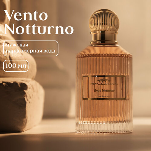 PALAZZO della BELLEZZA Парфюмерная вода мужская Vento Notturno 100 мл