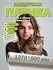 Защитная плёнка от когтей "Антицарапка", самоклеящаяся, бесцветна...