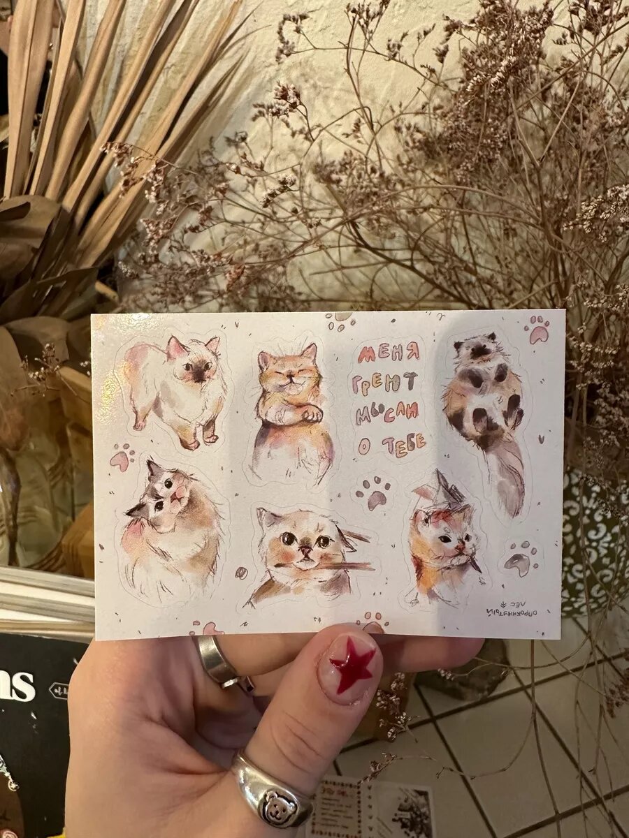 Стикеры виниловые 7,5х10,5 см 'котики' — фото 1