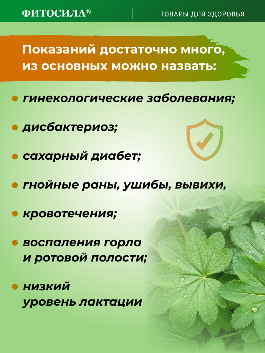 Картинки Манжетка трава Чайный напиток Фитосила, 50г Бронхит, простуда, насморк.