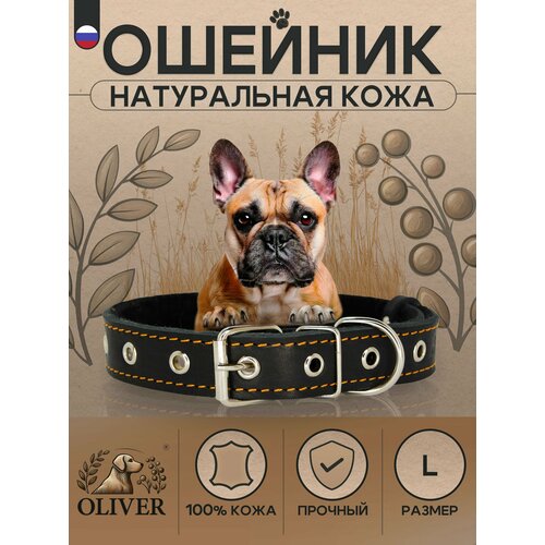 Ошейник для собак Oliver из натуральной кожи на мягкой подкладке из синтепона / L / Черный